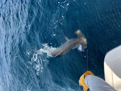 Fort Lauderdale deep sea fishing