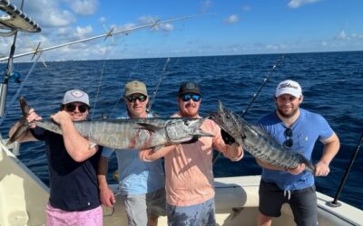 Fort Lauderdale fishing report for Sailfish, Mahi Mahi, Tuna and Wahoo